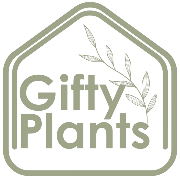 Gifty Plants 